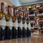 Viñedo Chadwick -Fine wines from Maipo Valley/Chile